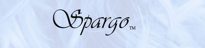 Spargo Salon title graphic